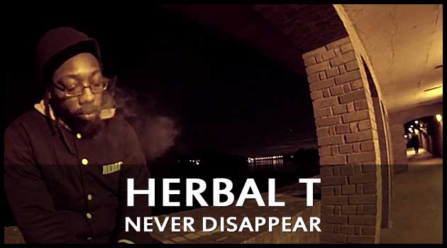 Herbal T - Never Disappear